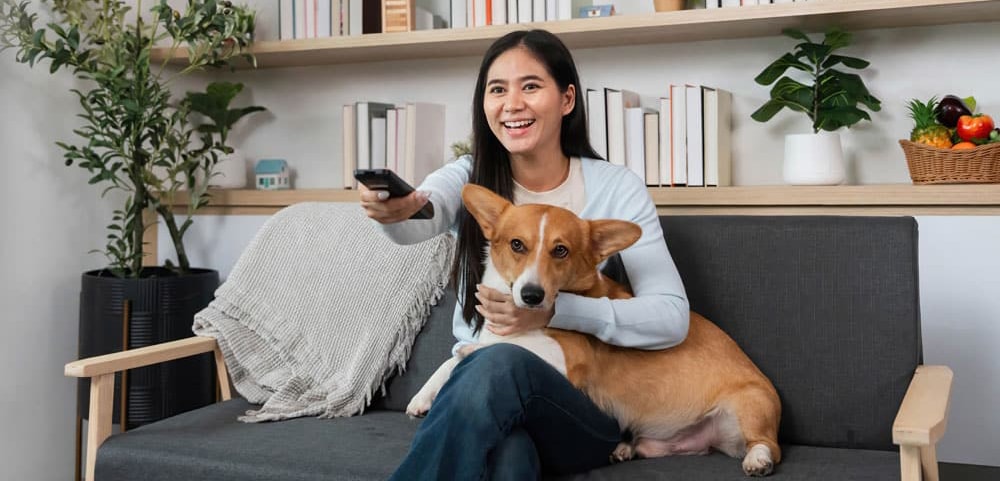Young female homeowner smiles and pets cute dog on their gray couch in the living room.